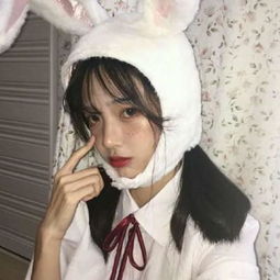 大宋果盘变态版下载