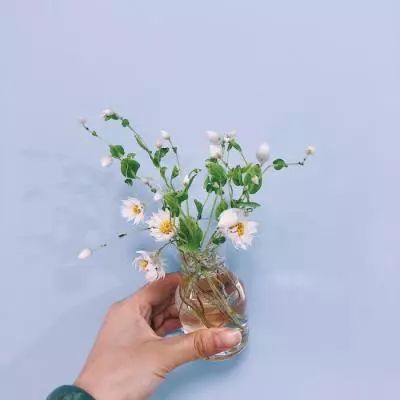 一剑屠龙手游下载